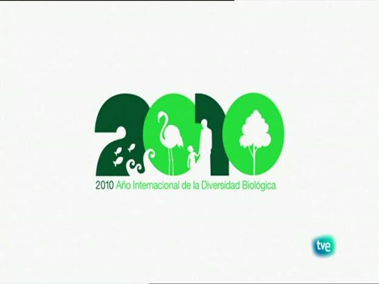 Biodiario - La canastera