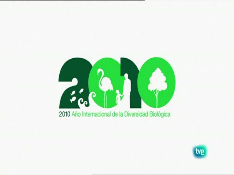  Biodiario - La canastera