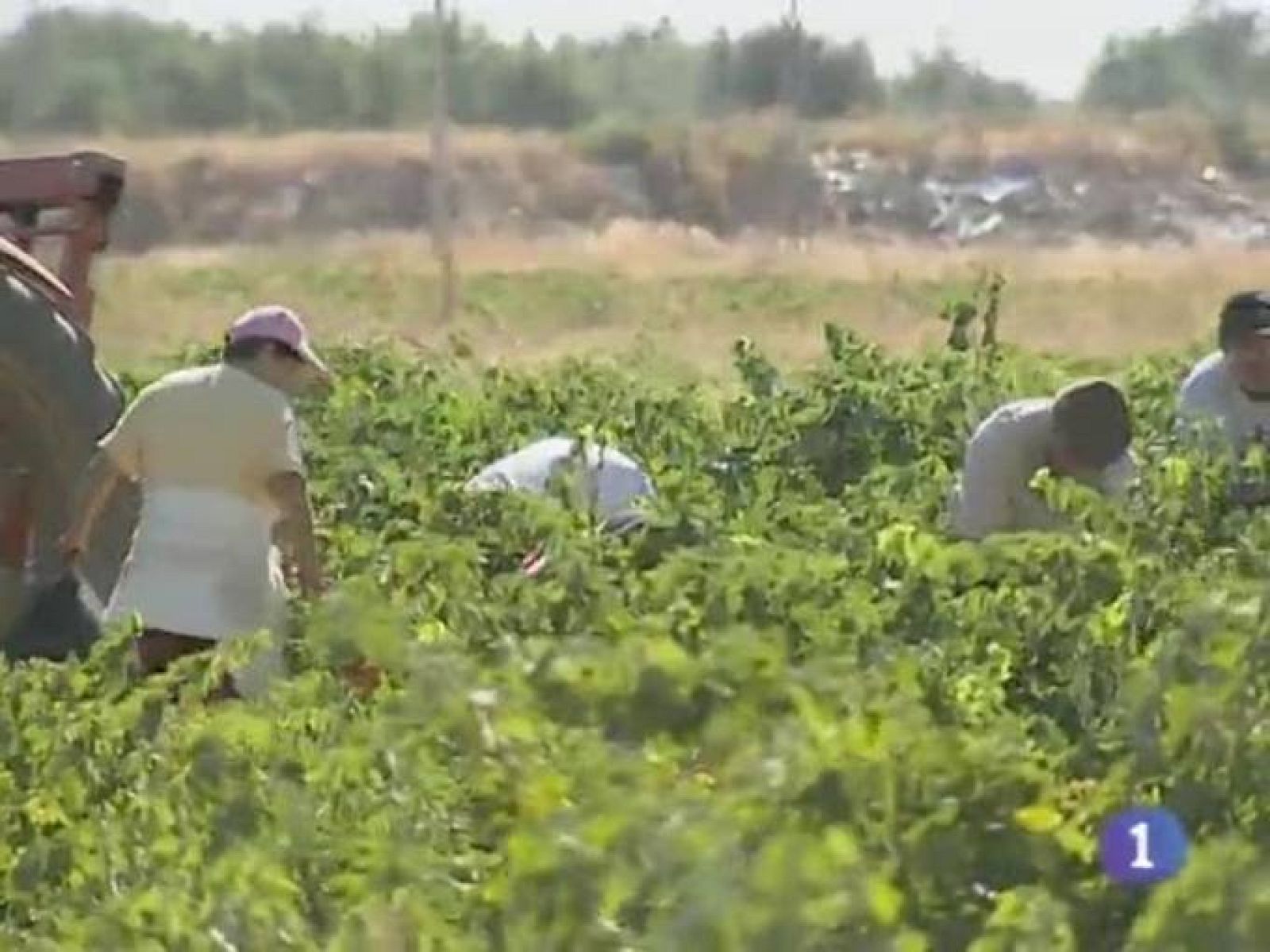 Noticias de Castilla - La Mancha. Informativo de Castilla - La Mancha. (03/05/10)