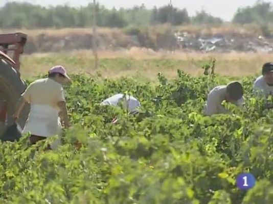 Noticias de Castilla-La Mancha - Noticias de Castilla-La Mancha - 03/05/10