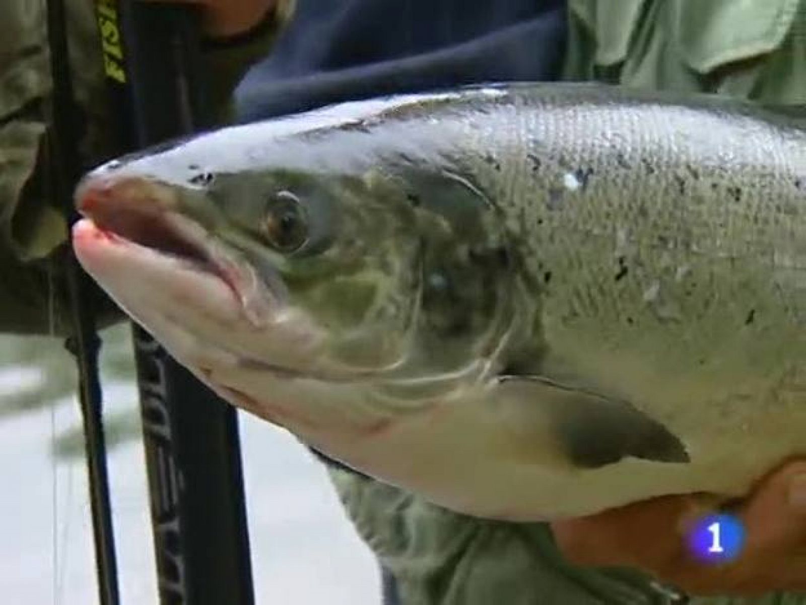 Telecantabria. (03/05/10)