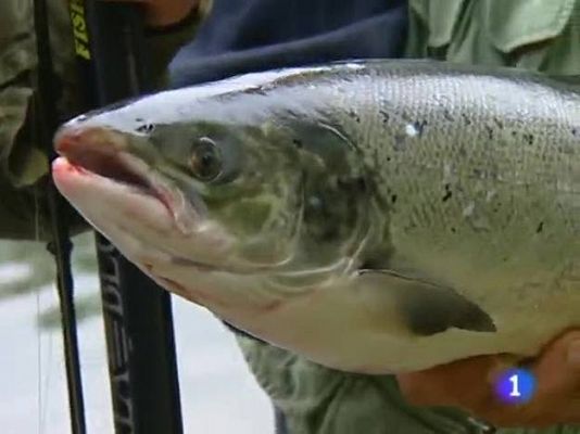 TeleCantabria - Telecantabria - 03/05/10