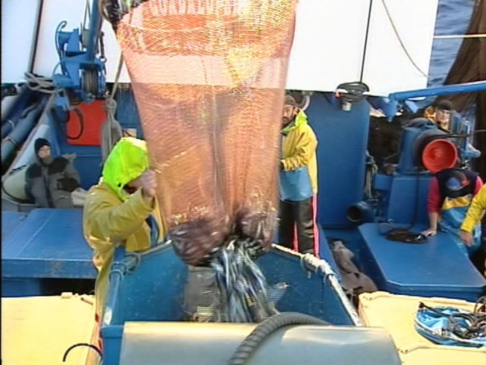 Durante casi cinco años no se ha podido pescar anchoa en el Cantábrico; una veda que ha finalizado ya | Ver