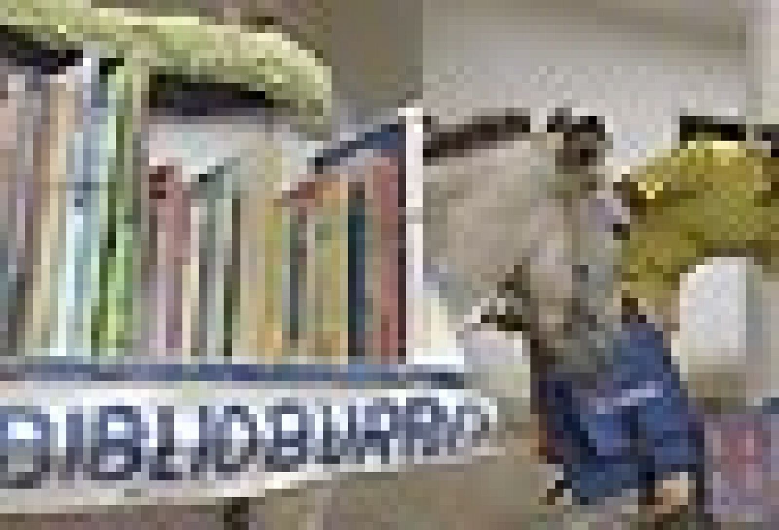 Acercar los libros a los lugares más recónditos utilizando burros de carga | Ver