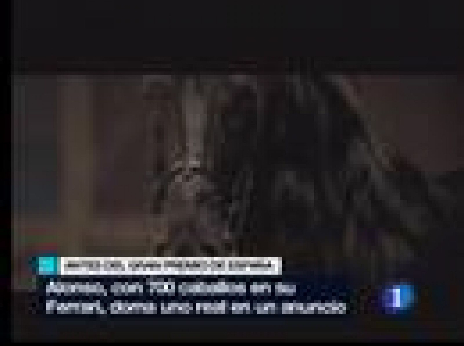 Alonso doma al 'cavallino' | Ver