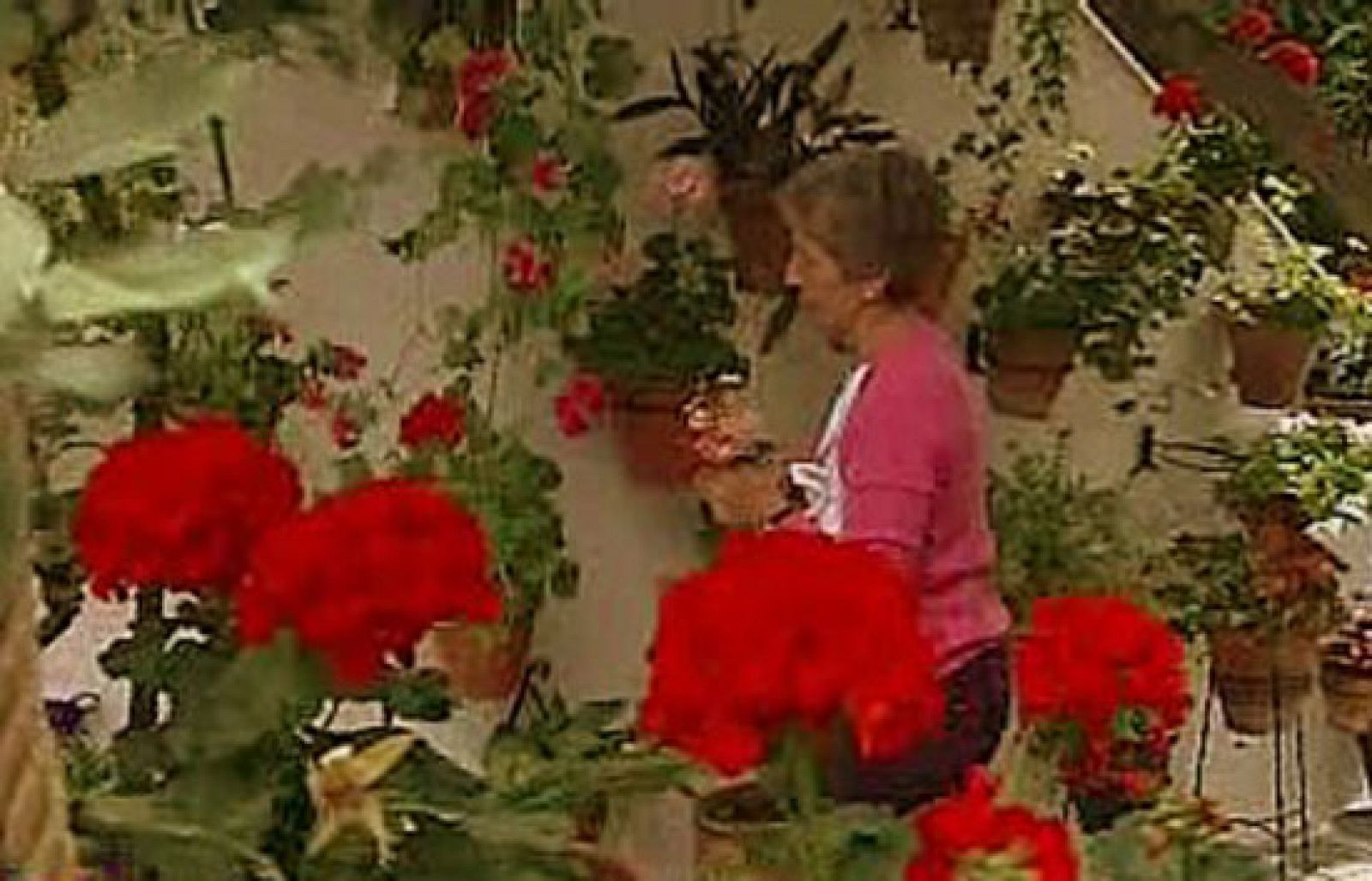 España Directo - Patios de Córdoba | Ver