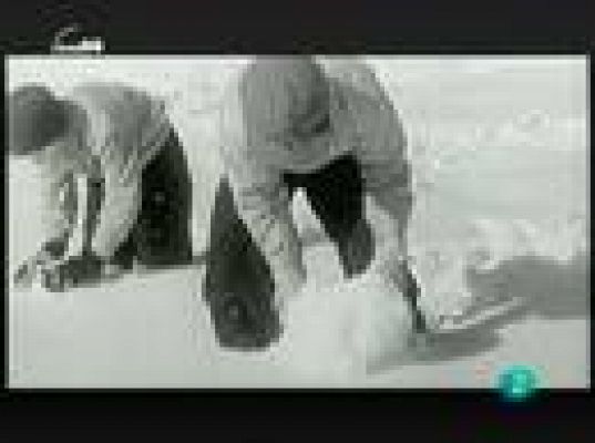 tres14 - Curiosidades