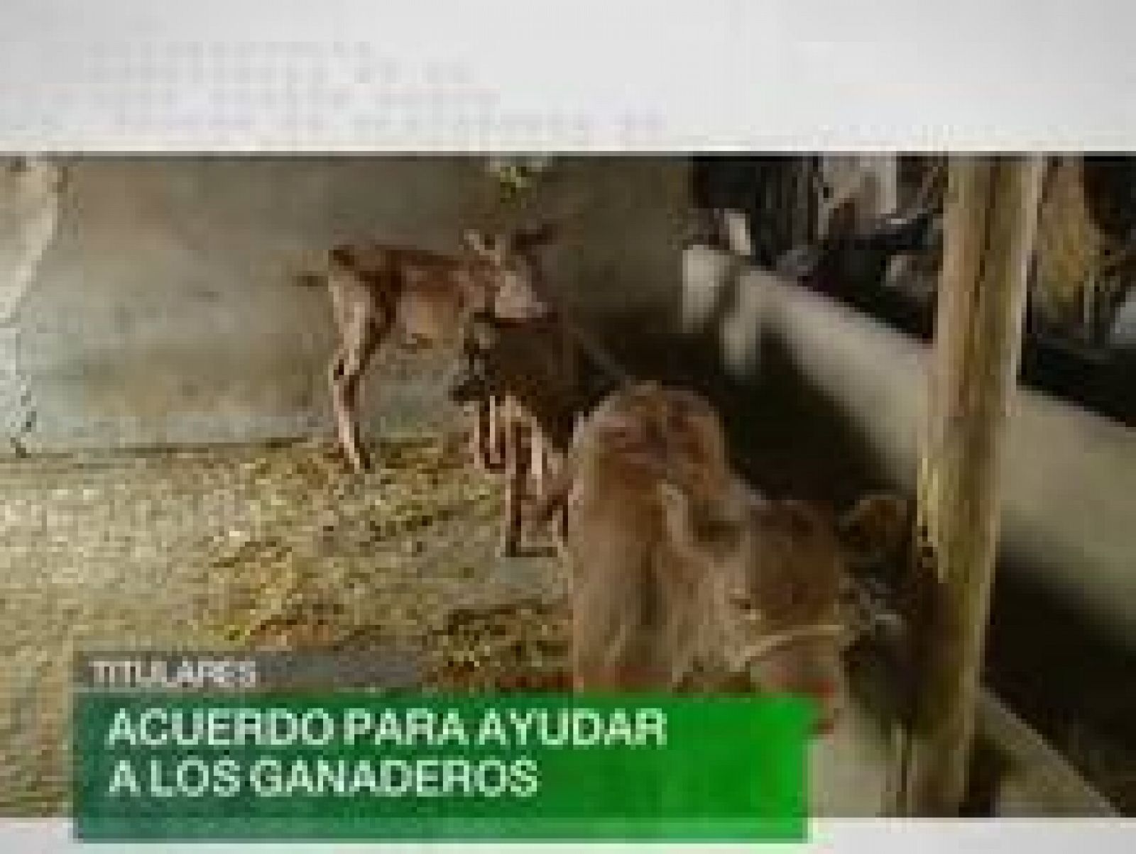 Noticias Murcia: Noticias Murcia - 05/05/10  | RTVE Play