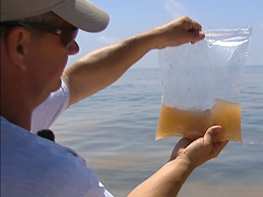 Ciencia y tecnología en Rtve.es - 6 millones de litros de crudo