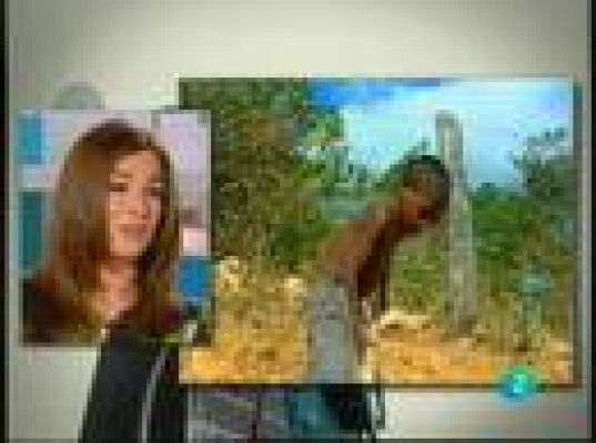 Para todos La 2 - ONG: Fabretto