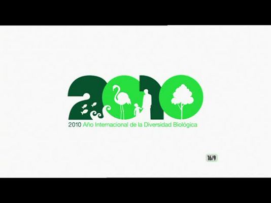 Biodiario - La espátula