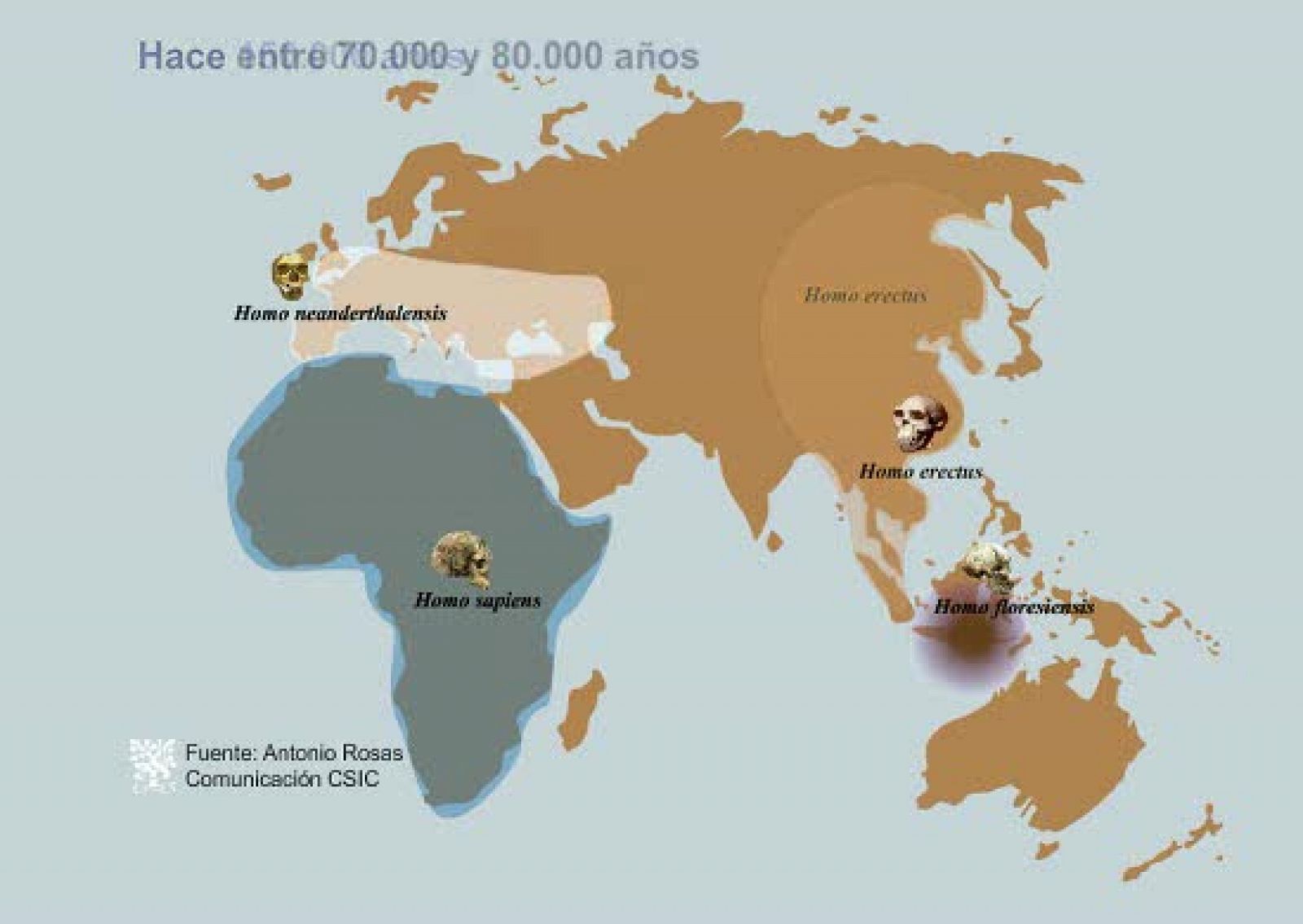 Escenario evolutivo de la interacción de humanos modernos (Homo Sapiens) y neandertales (Homo Neanderthalensis).