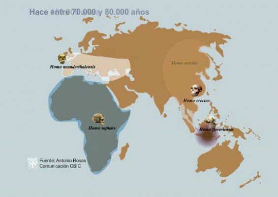 El genoma de los Neandertales