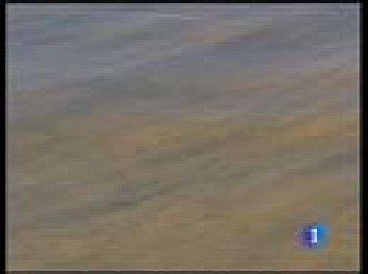  - Marea negra en el Golfo de México