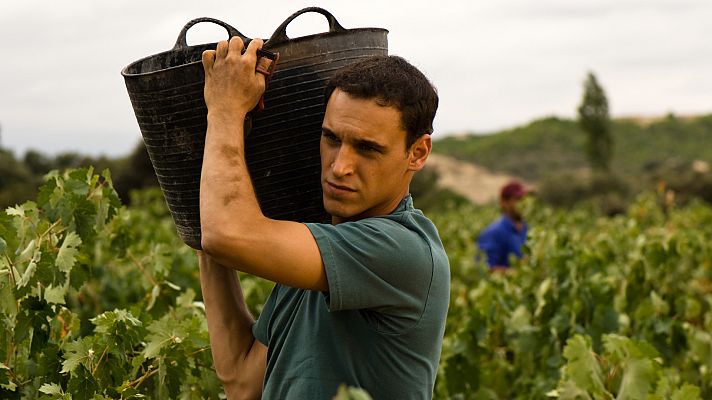 Gran Reserva - Unión y fuerza