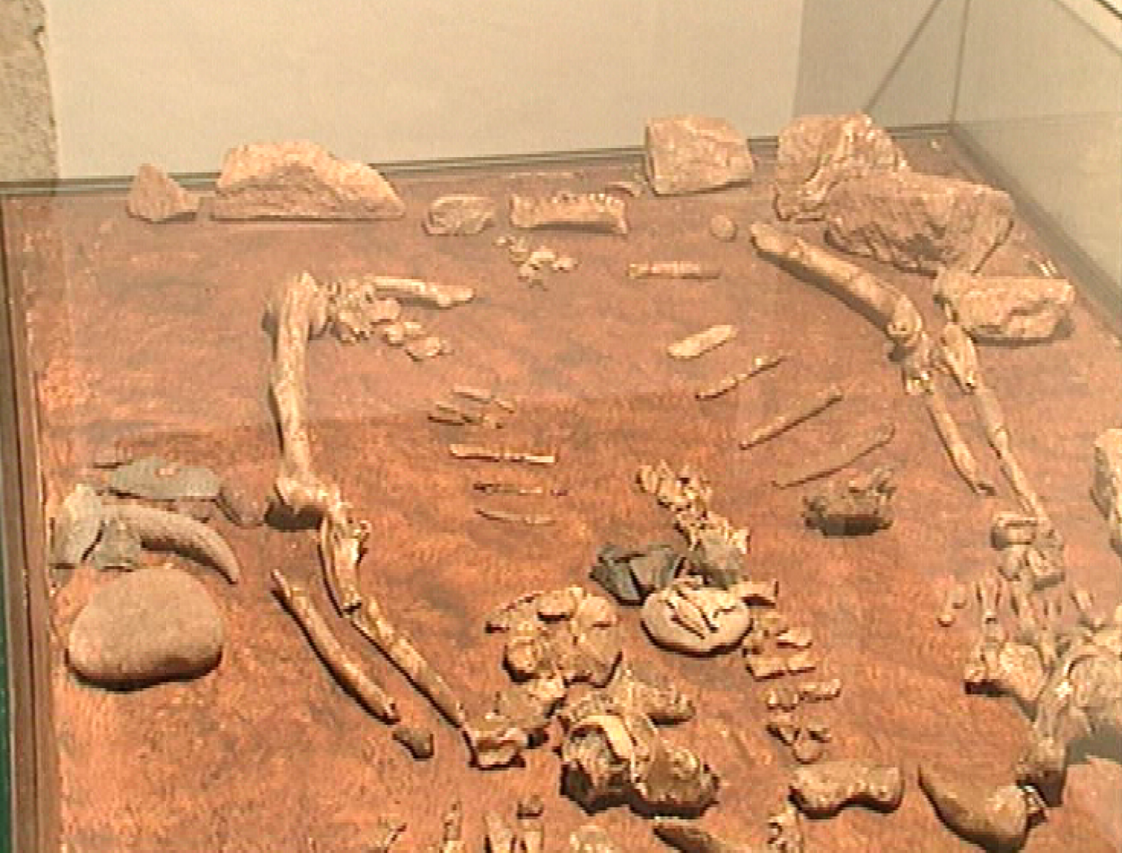 Panorama regional - 07/05/10 - Panorama Regional | Ver