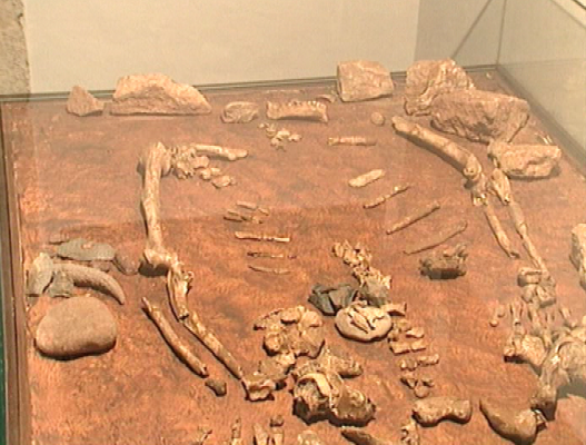 Panorama Regional - Panorama regional - 07/05/10