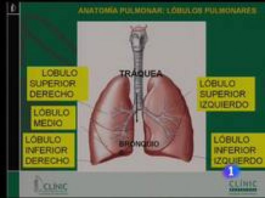  - Así ha sido la operación del Rey