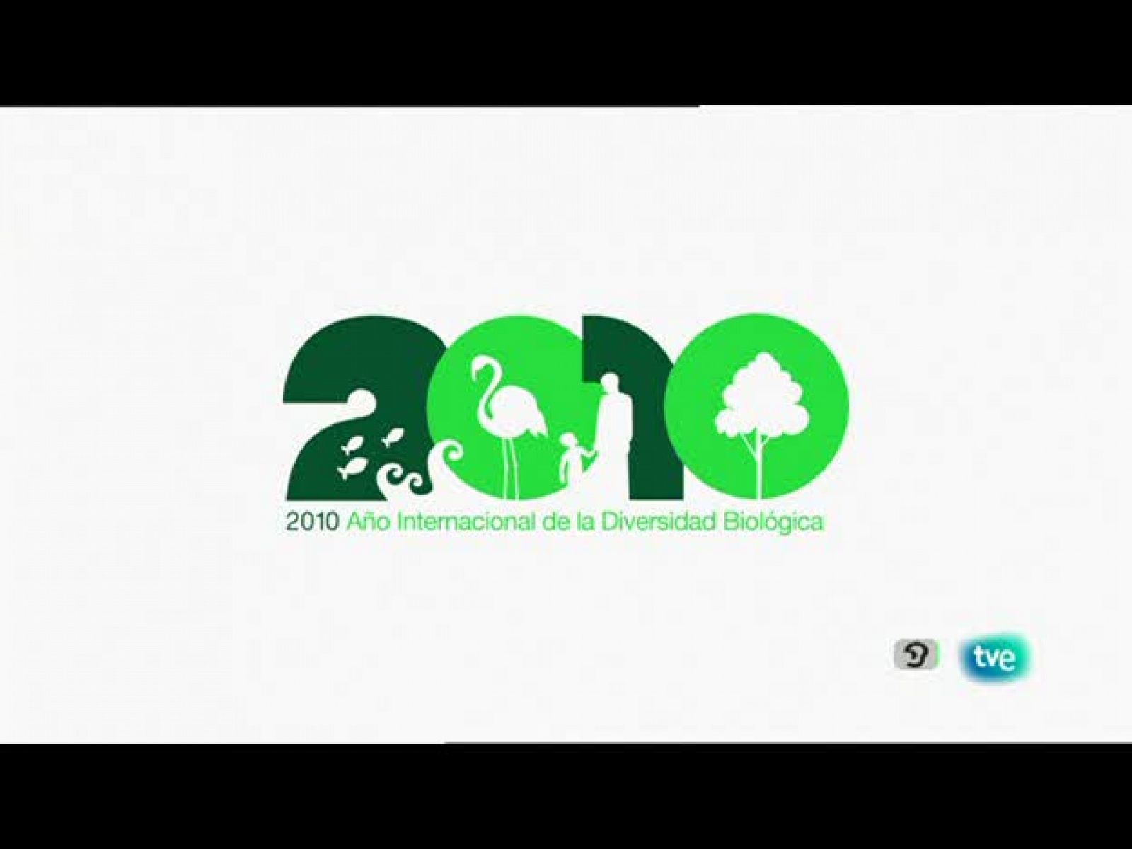 Biodiario - Halconcillo de uñas blancas - Biodiario | Ver