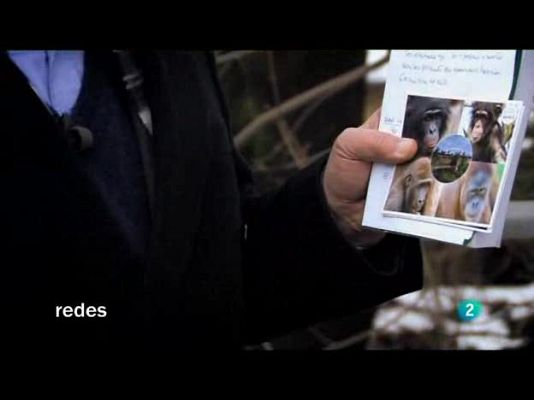 Redes - Somos primates - Primera parte