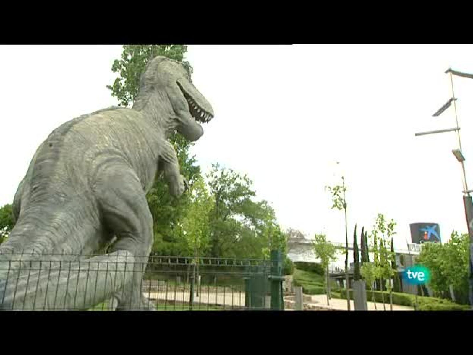 La aventura del saber - Naturaleza y Medio Ambiente - 10/05/10 - La aventura del Saber | Ver