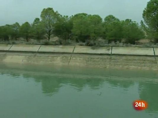 Natural - Capital Verde 2012