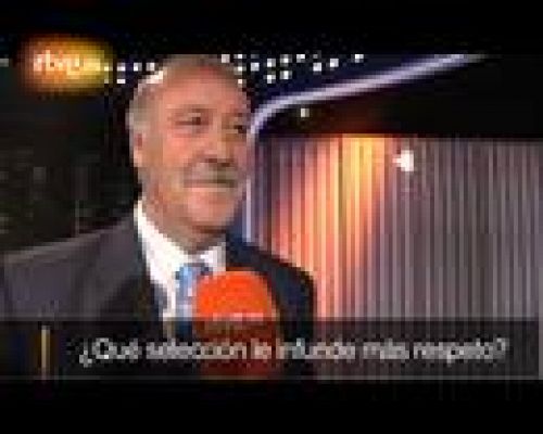 Las once preguntas de Del Bosque