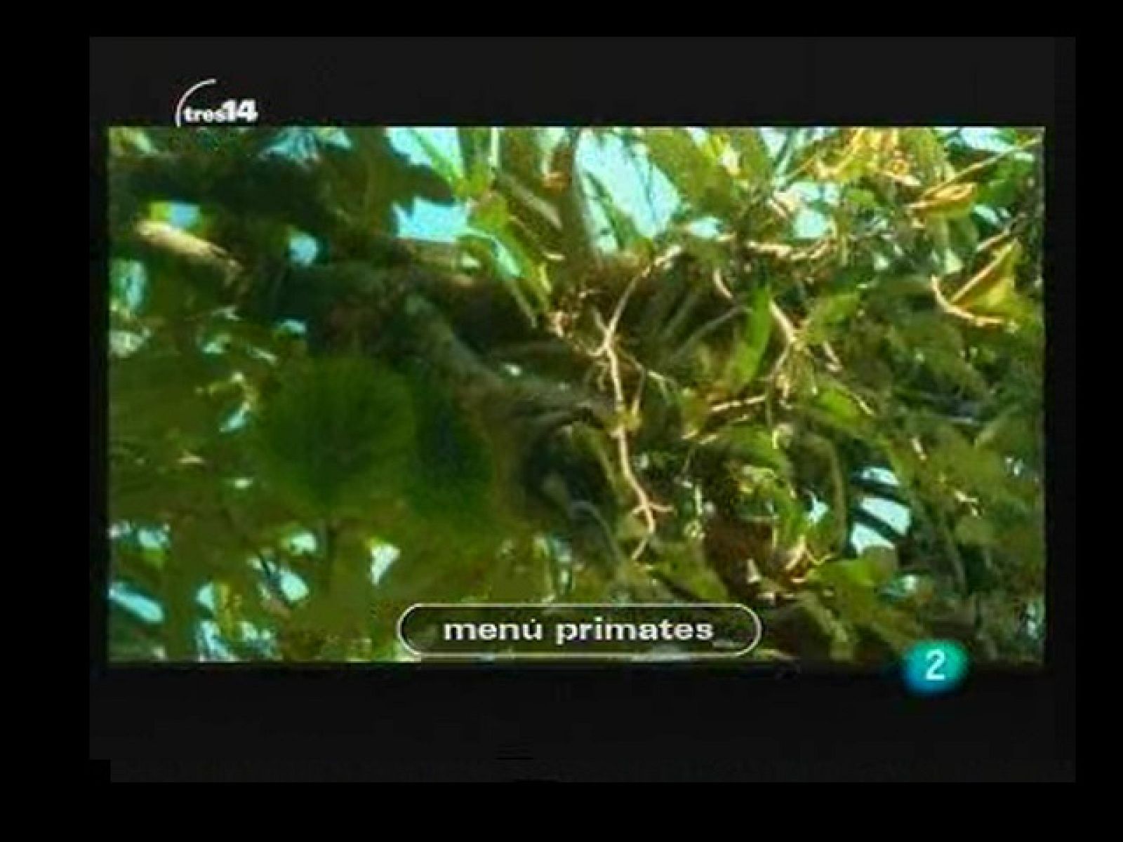 Últimas noticias (obesidad)