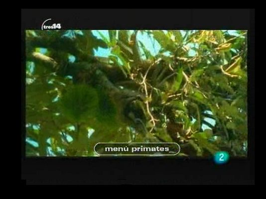 tres14 - Últimas noticias