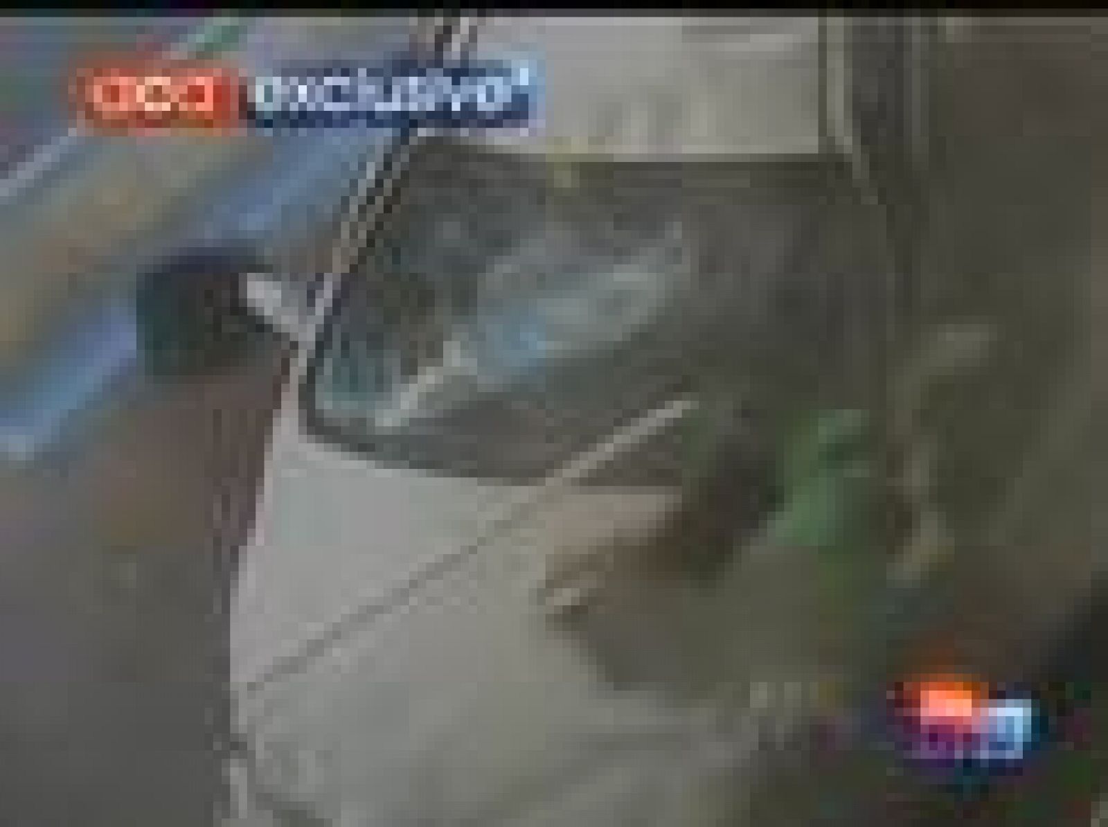 Un padre salva a su bebé de ser atropellado | Ver