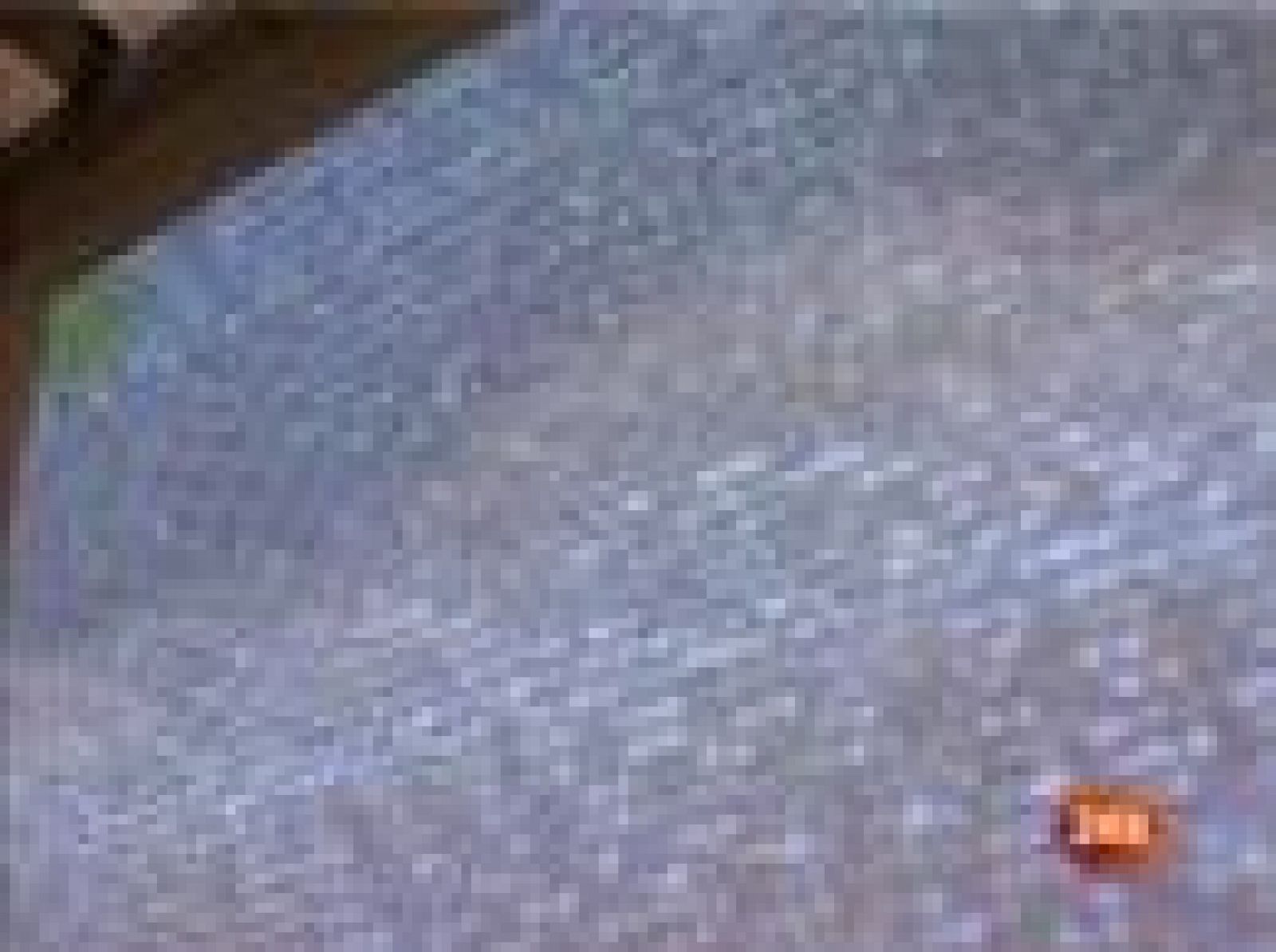 Agresión al autor de la caricatura de Mahoma con cuerpo de perro