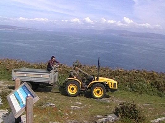 Comando Actualidad - Vivo en el paraíso