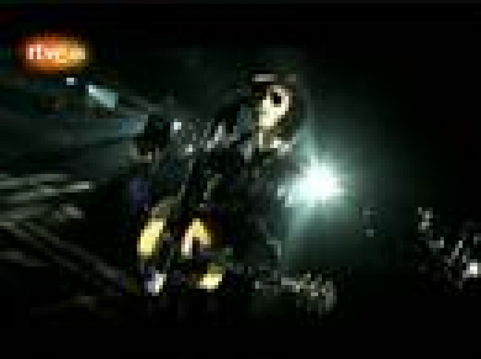 Pereza: 'Lady Madrid' (Videoclip)