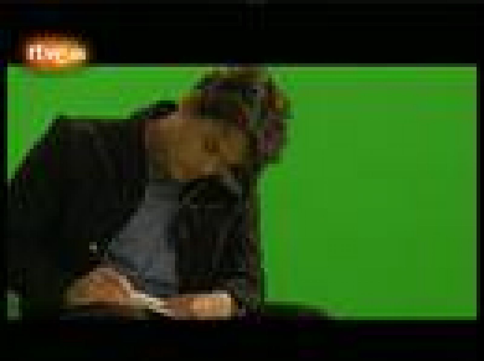 John Meyer en casa: ¿Cómo se grabó 'Battle Studies'?