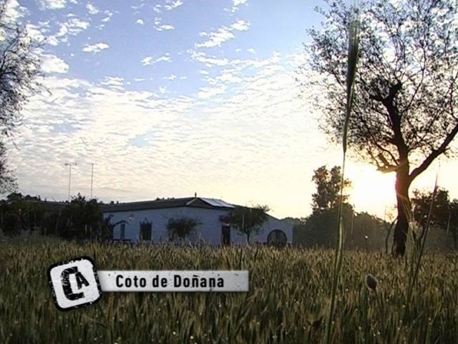 Comando Actualidad - Viviendo en Doñana