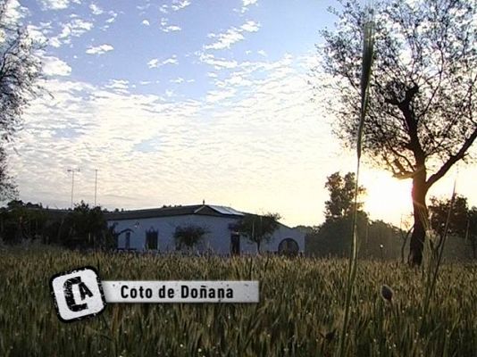Viviendo en Doñana