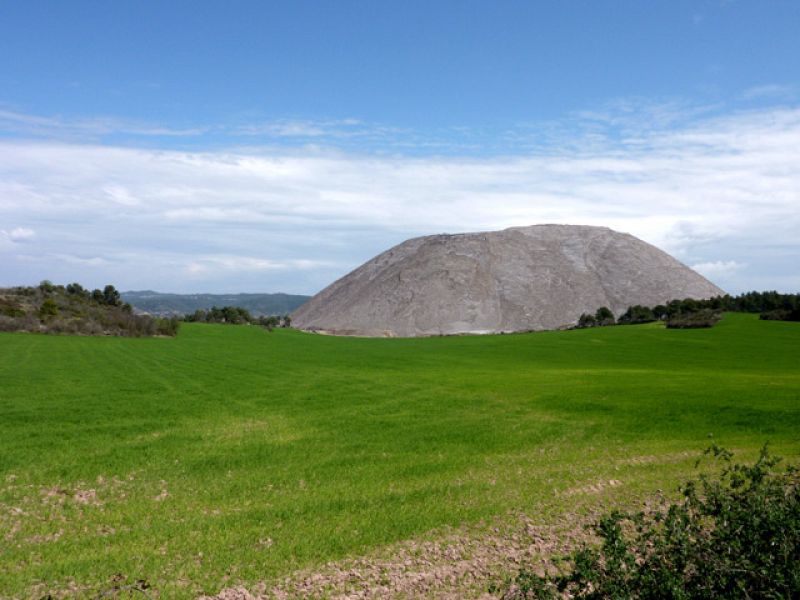 El escarabajo verde: El río de agua salada