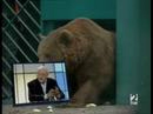 La aventura del Saber - Dos Osas de Asturias - 13/05/08