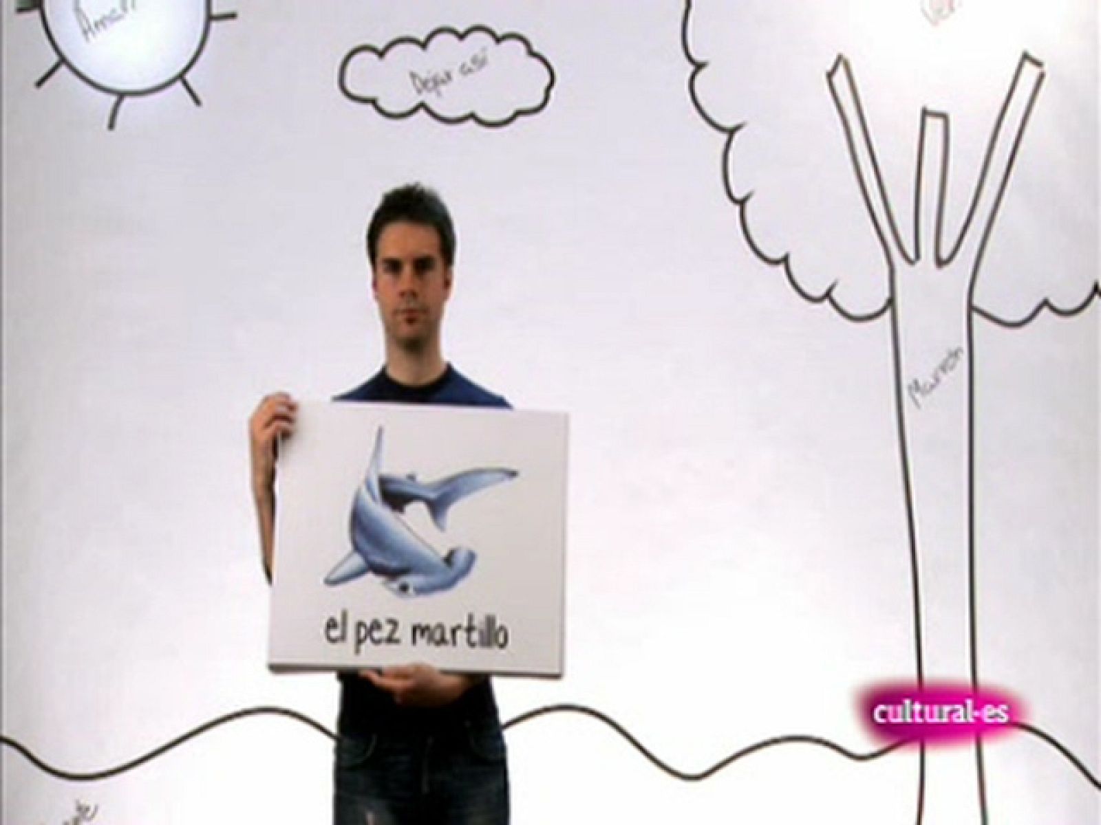 ZZZ - Programa 17 (12 mayo)