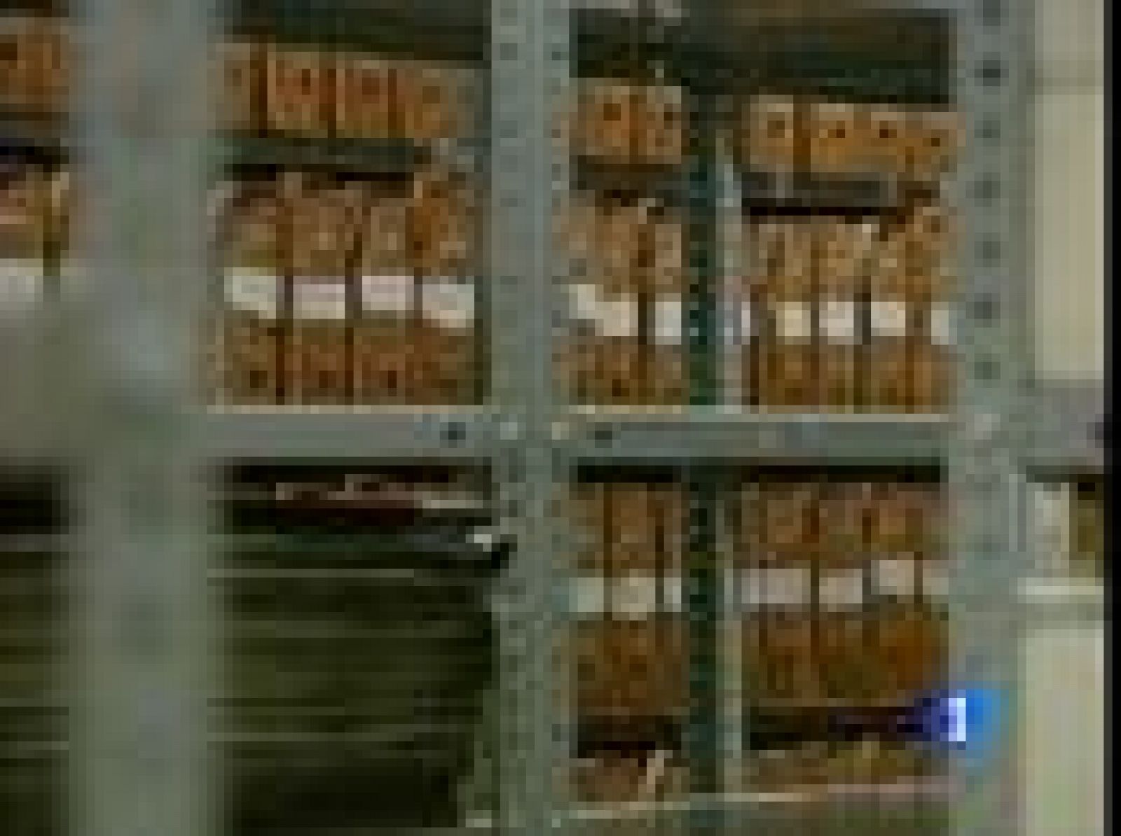 La Delegación del Gobierno en Aragón pone a disposición de los familiares de desaparecidos en la guerra civil toda la información de la que dispone | Ver