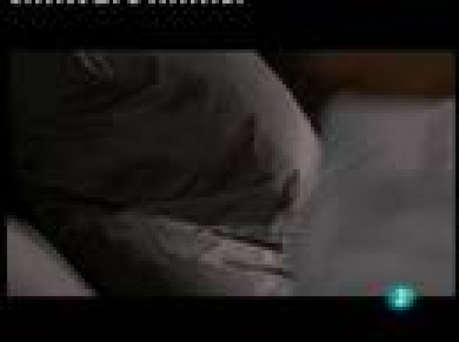 Días de cine - DVD: 'Si la cosa funciona' | Ver