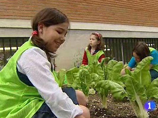 ¿Dónde está el campo en Madrid?