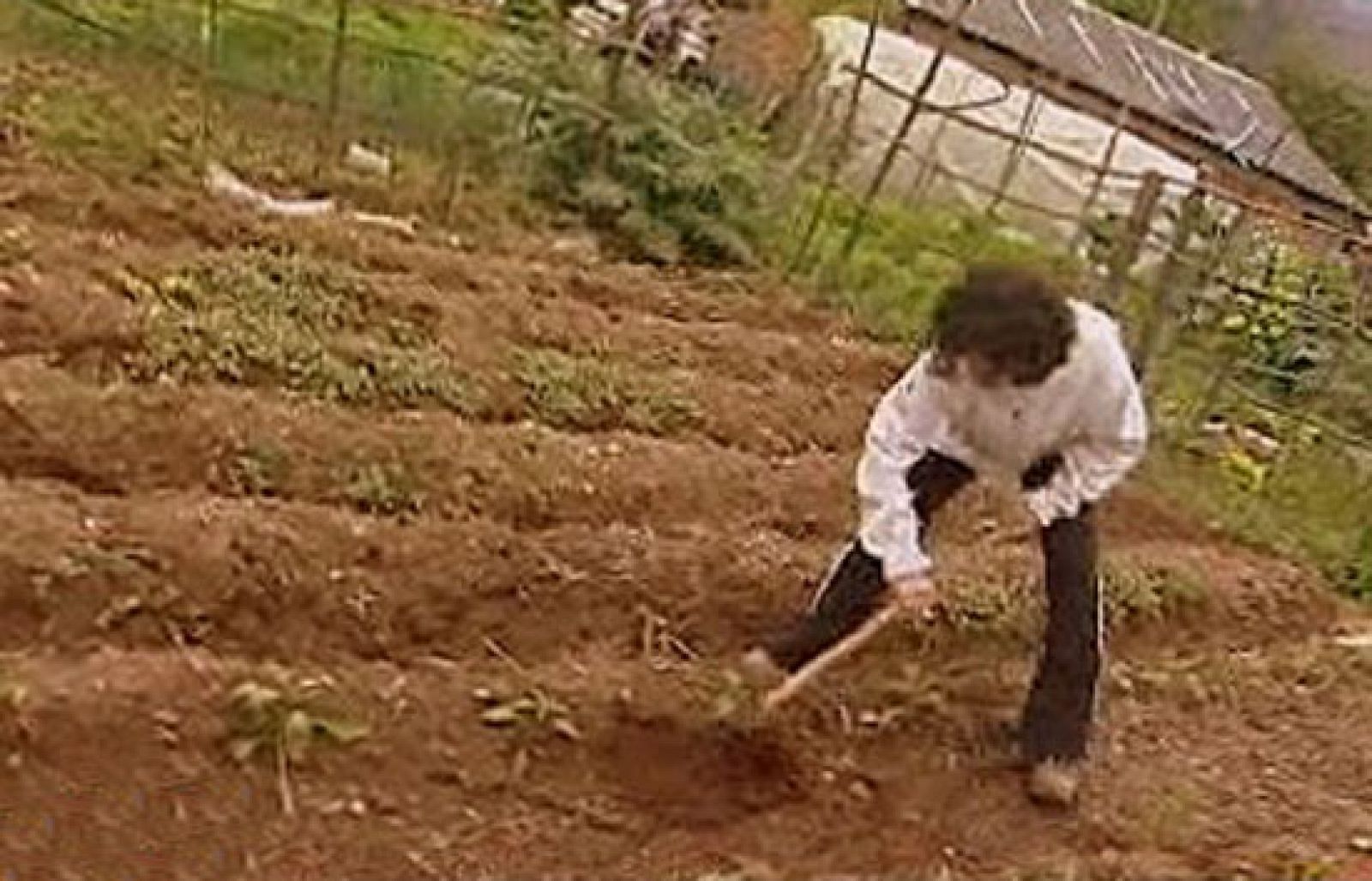 España Directo - La huerta en casa | Ver