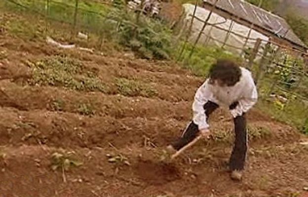 España Directo - La huerta en casa