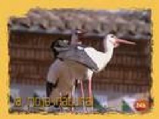 Natural - La protección y desarrollo