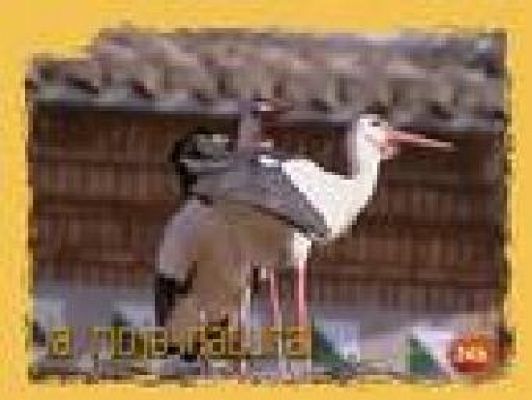 Natural - La protección y desarrollo