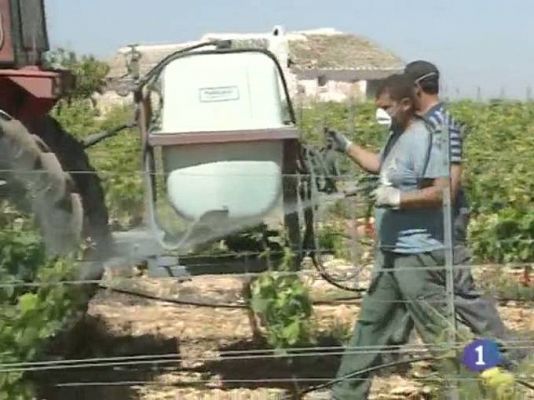 Noticias de Castilla-La Mancha - Noticias de Castilla-La Mancha - 18/05/10