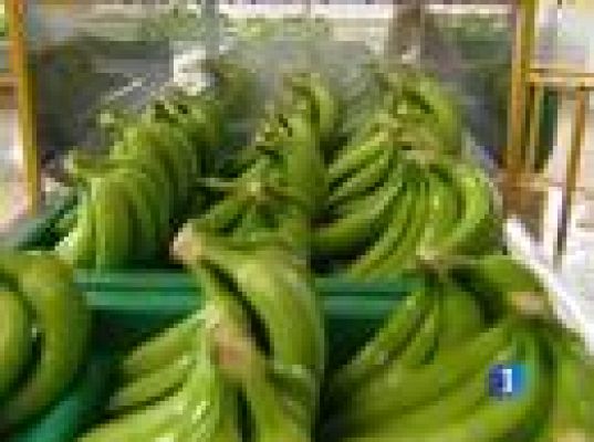  - Negociaciones con Mercosur