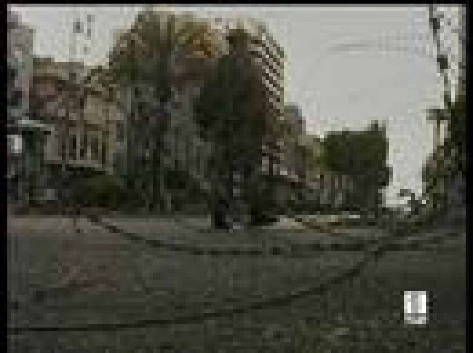 Más de 60 muertos y unos 200 heridos en seis días de enfrentamientos en el Líbano | Ver