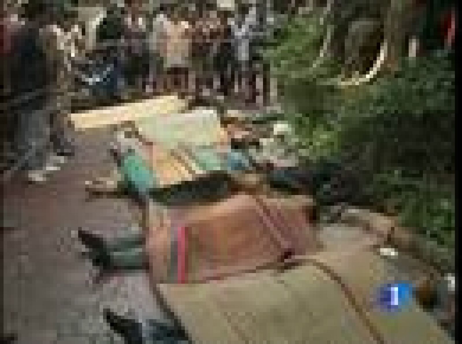 El gobierno tailandés ha ampliado hasta el domingo el toque de queda decretado en la capital | Ver